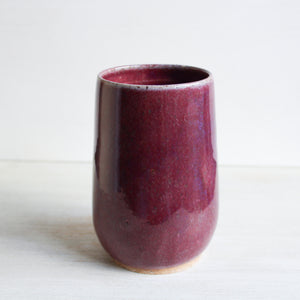 Raspberry Botanical Sgraffito Tumbler