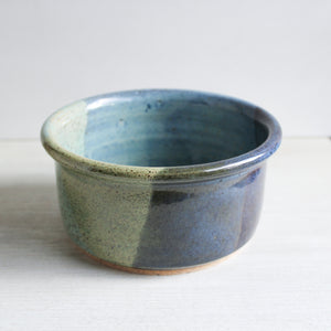 Blue & Green Pet Bowl
