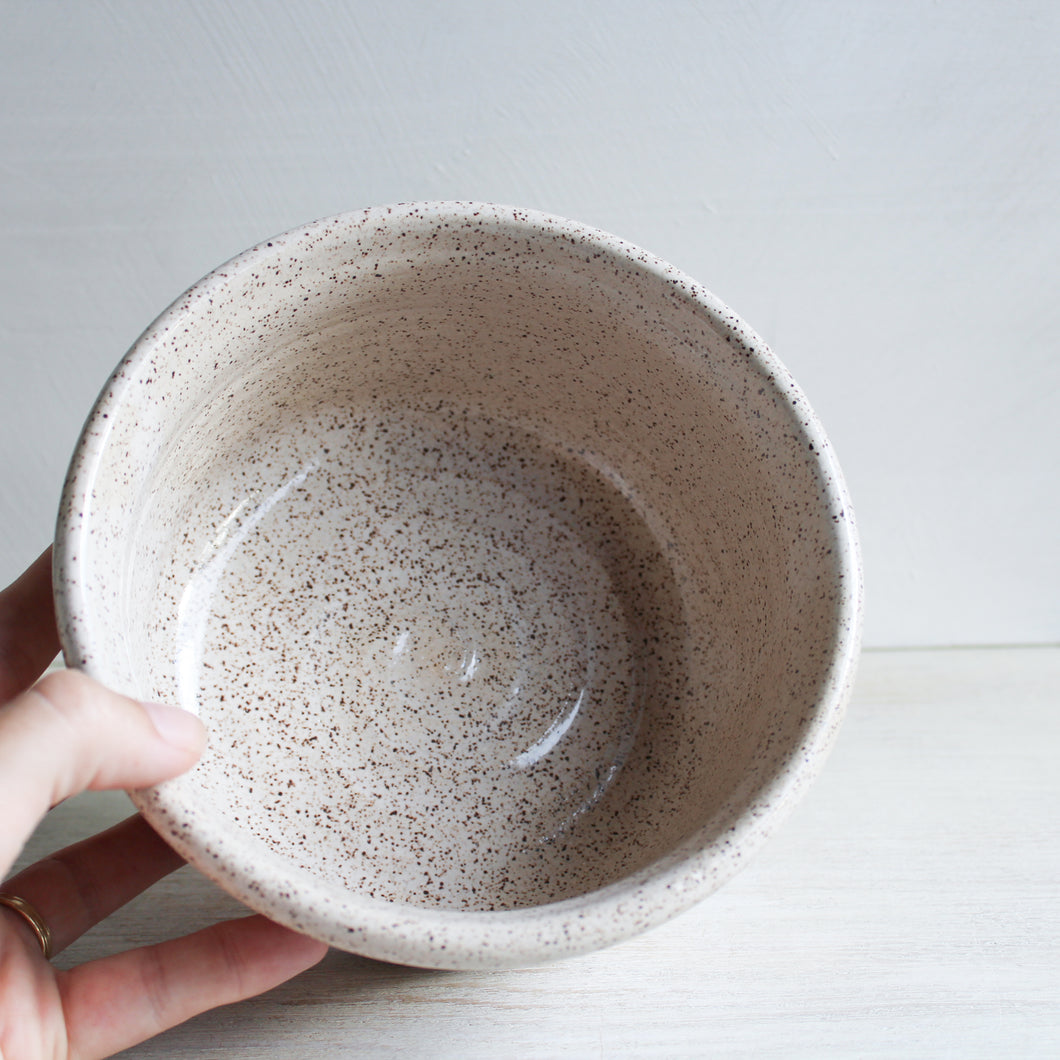White Pet Bowl