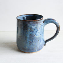 Load image into Gallery viewer, Light Blue Botanical Sgraffito Medium Mug