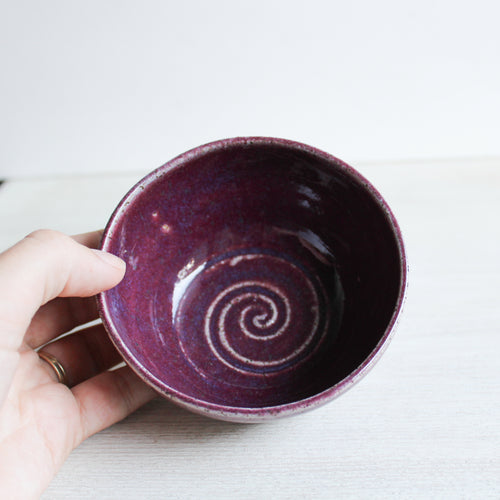 Raspberry Tiny Dish