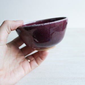 Raspberry Tiny Dish